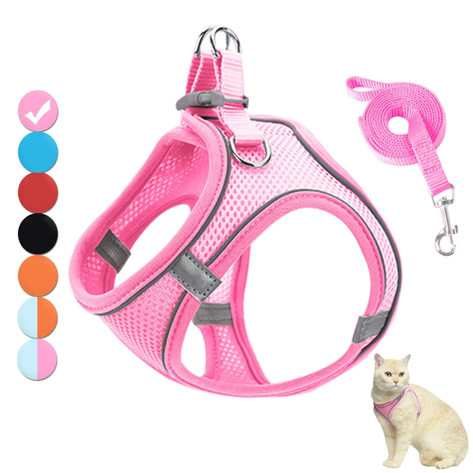 Harnais Réfléchissant Premium pour Chat & Petit Chien | Laisse Incluse | Réglable