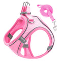 Harnais Réfléchissant Premium pour Chat & Petit Chien | Laisse Incluse | Réglable