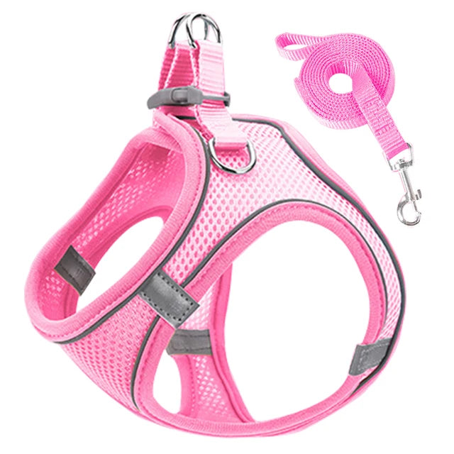 Harnais Réfléchissant Premium pour Chat & Petit Chien | Laisse Incluse | Réglable