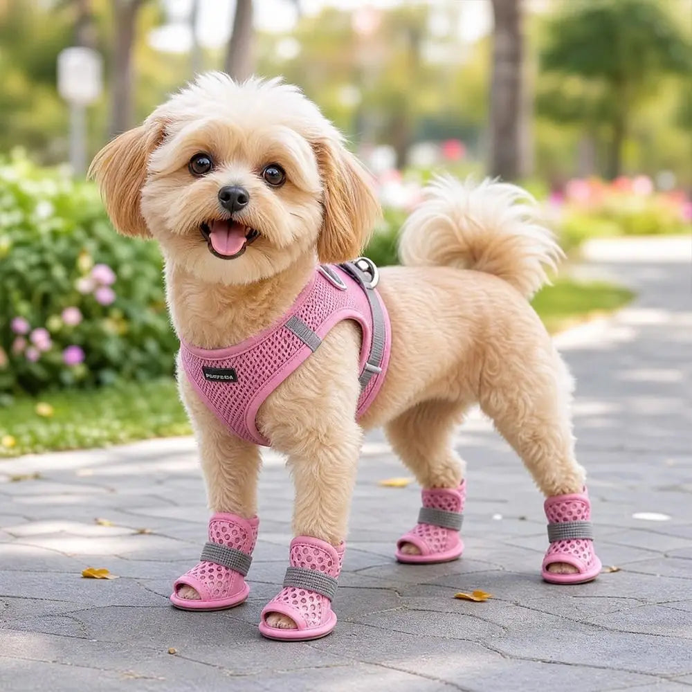 Sandales de Luxe pour Chien – 4 Paires
