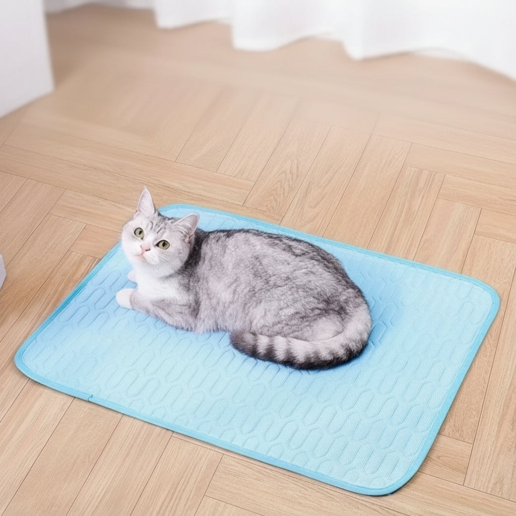 Tapis Rafraîchissant Premium pour Animaux – 4 Tailles | Chien & Chat