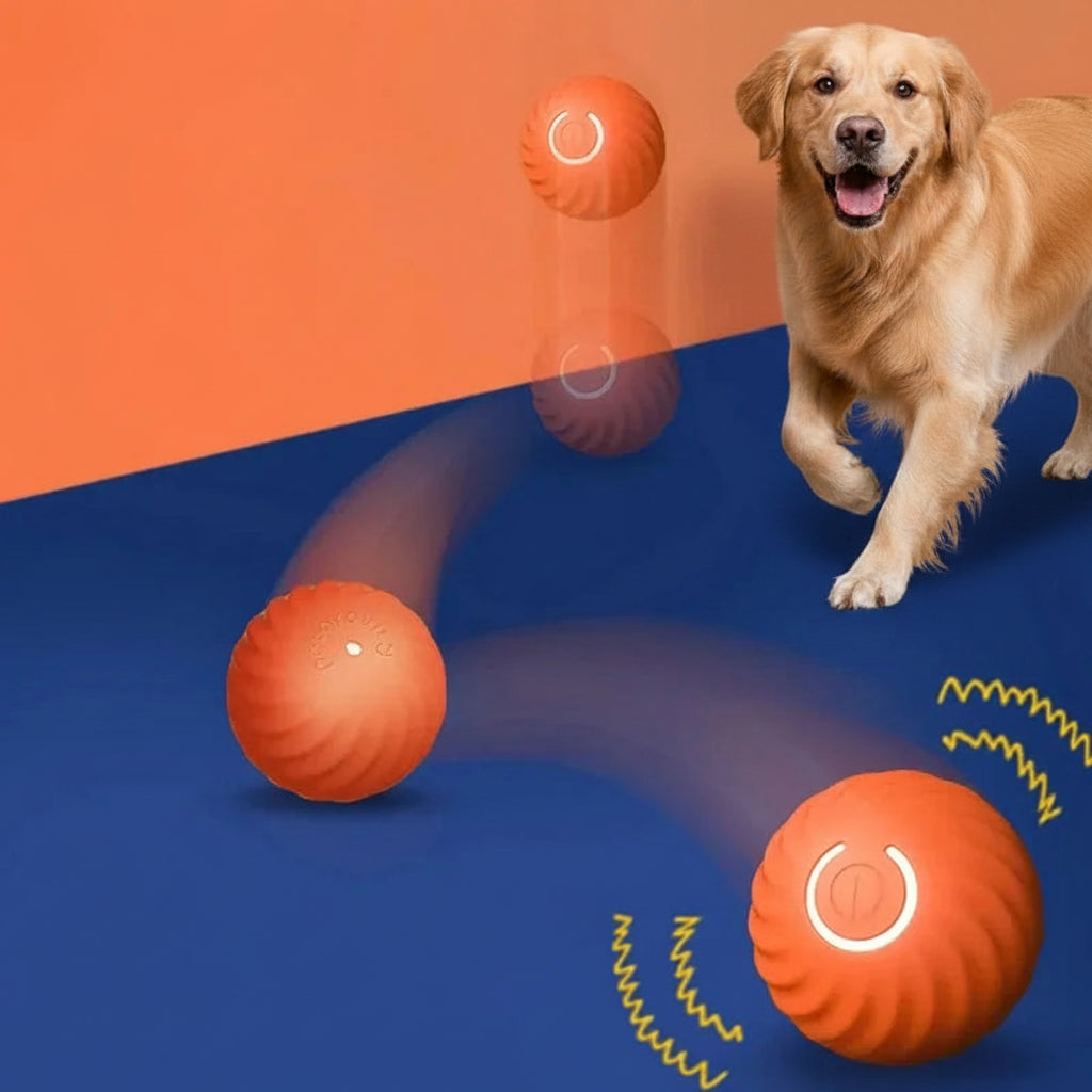 Balle Automatique pour Chien – Jouet Interactif USB Intelligent