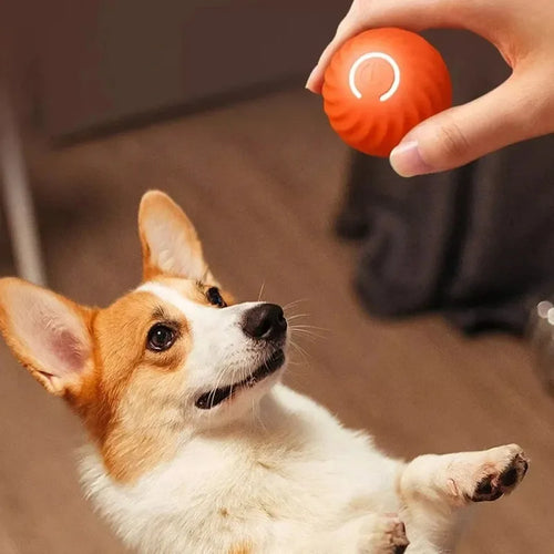 Balle Automatique pour Chien – Jouet Interactif USB Intelligent