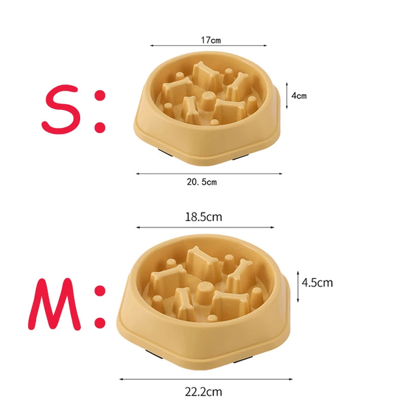 Gamelle Anti-Glouton Premium — Puzzle Antidérapant