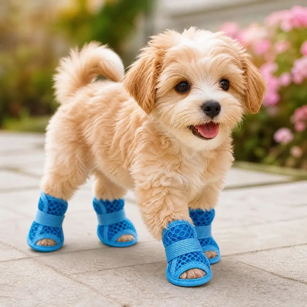 Sandales de Luxe pour Chien – 4 Paires