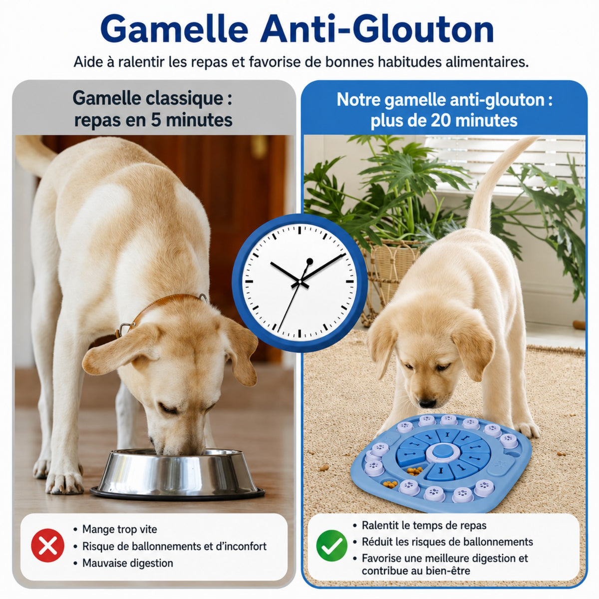 Jouet Puzzle Interactif pour Chien – Distributeur de Friandises Éducatif